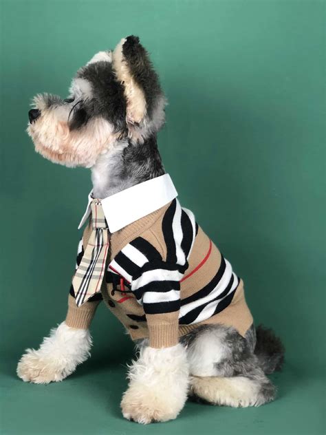 luxury dog clothes for sale